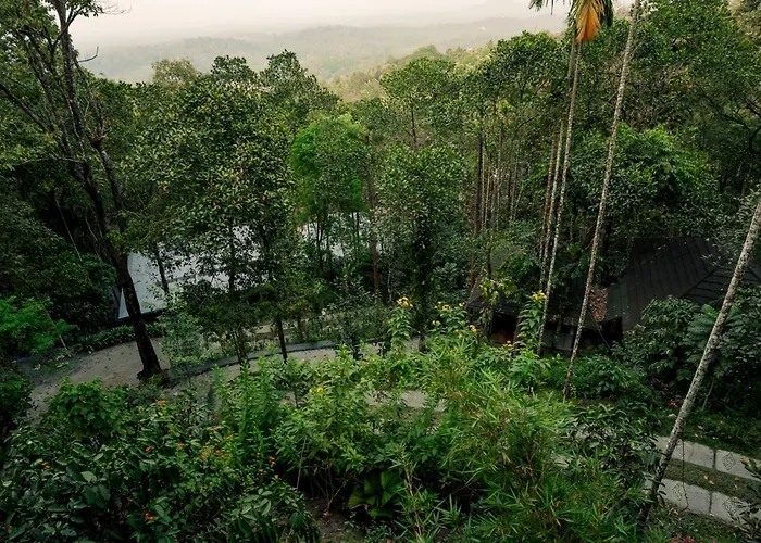 The Hive Wayanad